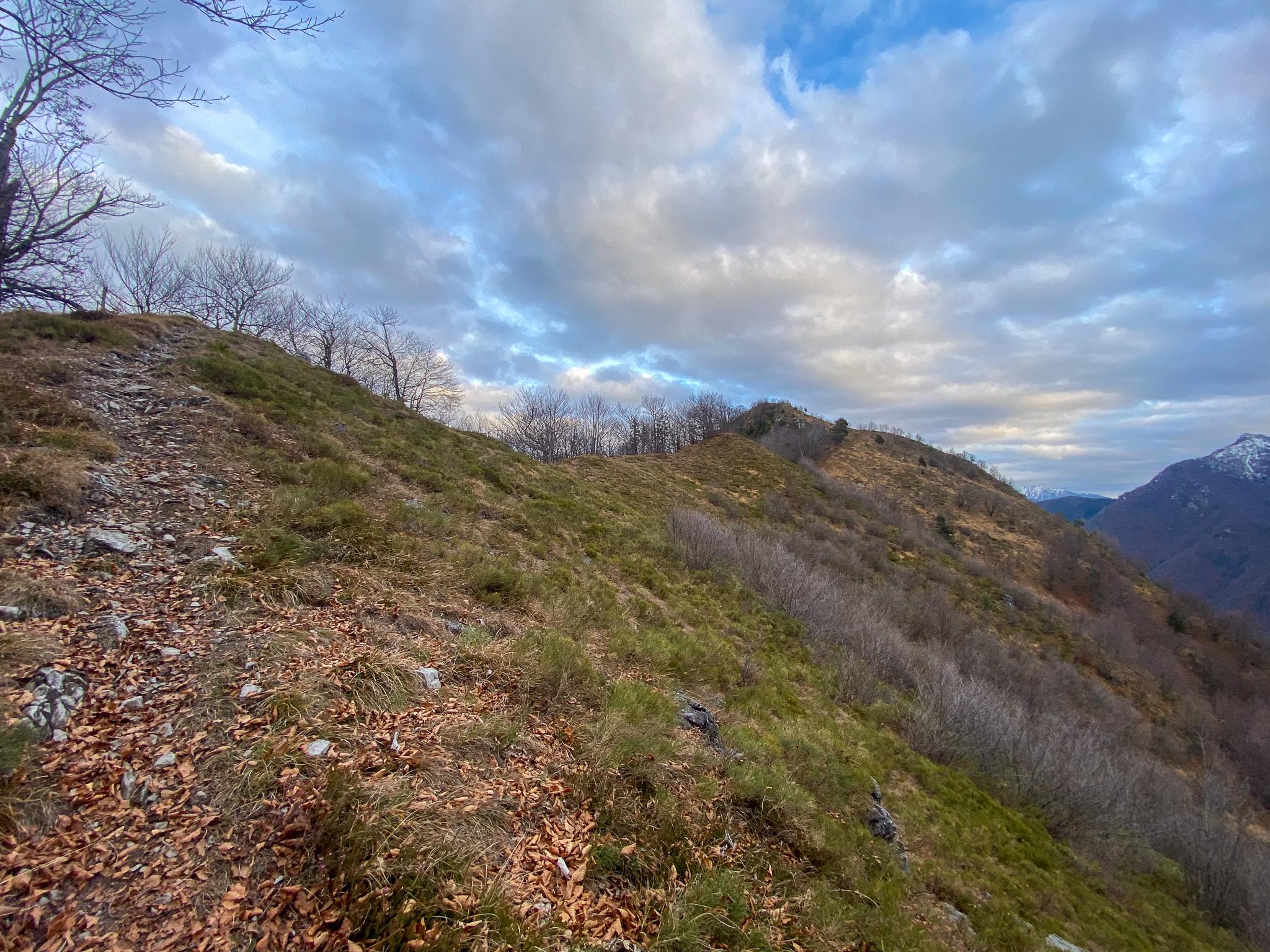 Verso il Monte Disner