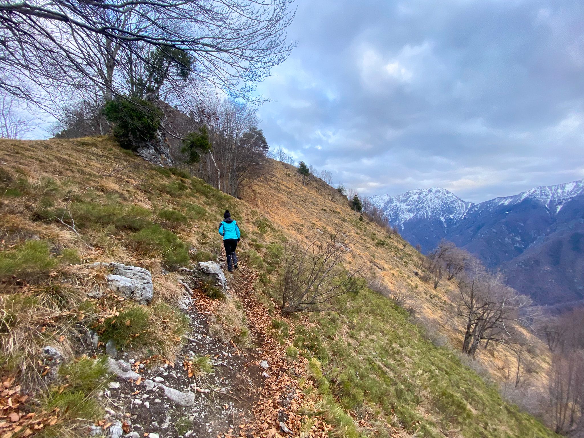 Verso il Monte Disner