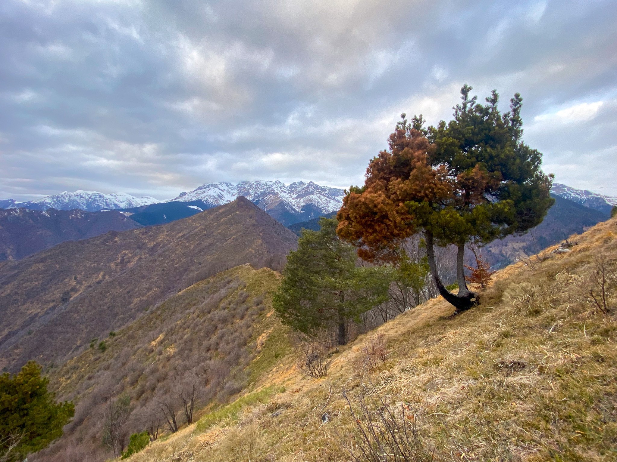 Verso il Monte Disner