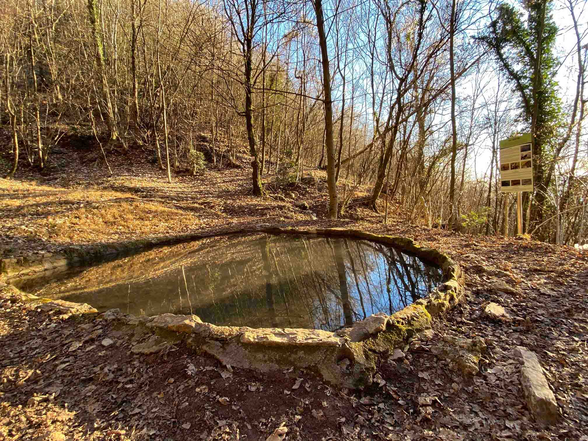 Pozza d'acqua sentiero per prati Parini