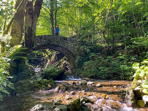 Ponte sulla Val Borlezza